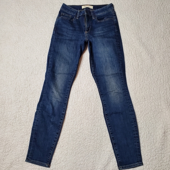 GAP Denim - Gap 1969 Curvy True Skinny Jeans Mid Rise Size 25R